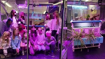 The fish that take root