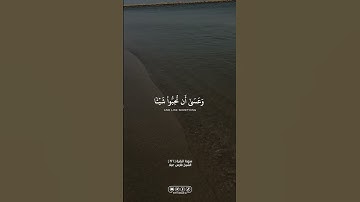 سورة البقرة | #الله #allah #القران_الكريم #القرآن_الكريم #foryou #اكسبلور #explore #فارس_عباد #fyp