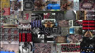 Celebrity Experiments in Pedestrian Dynamics Overview Profile