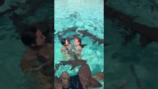 Girls Freak Out Swimming With Sharks