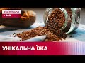 Протермінована згущенка та гречка: чи варто довіряти новим гастротрендам?