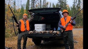 2024 Grouse Hunting in Northern Minnesota