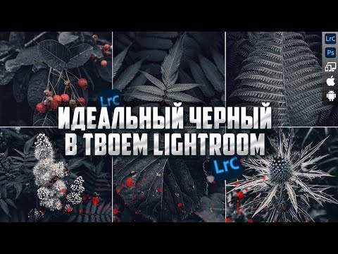 Обработка фото в Lightroom / Идеальный черный / Тоновая кривая Лайтрум / Лайтрум для начинающих