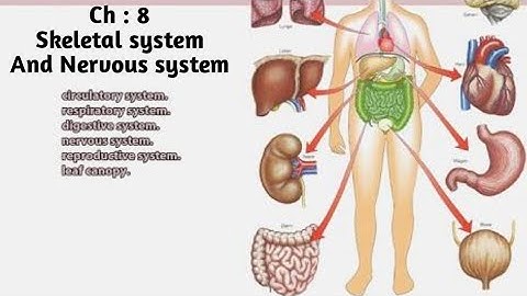 Science Skeletal system and Nervous system Part - 1