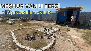 Nami Değer Terzi̇ Ni̇n Namli Taklaci Güverci̇nleri̇