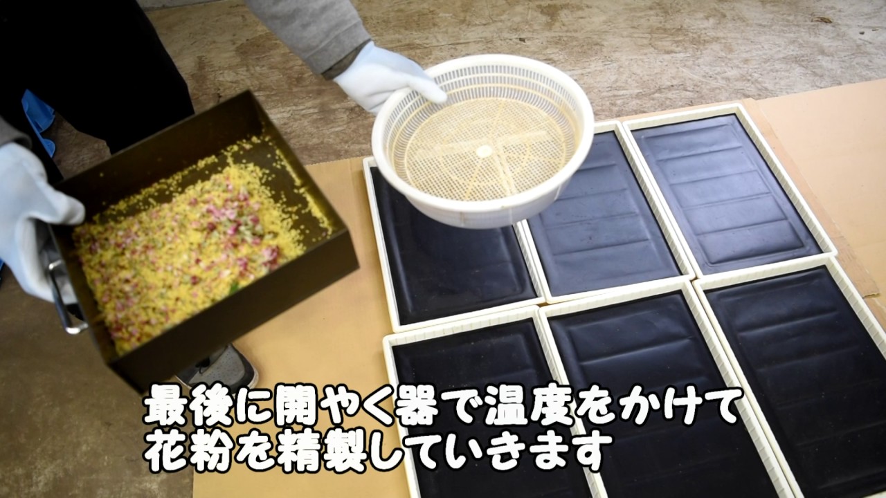 おおぐし農園2 林檎の人工授粉~花粉精製~