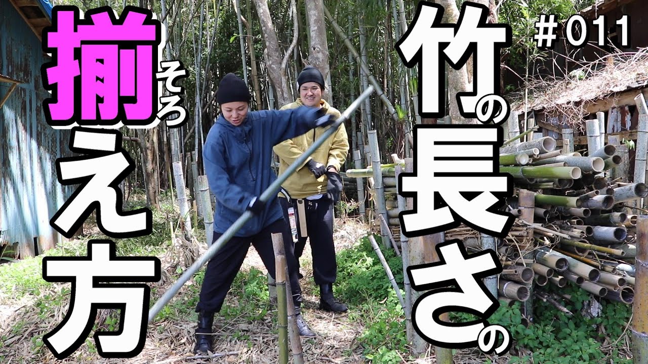 たのしん流竹切りの長さの揃え方講座｜オオスズメバチ⁈を撃退(閲覧注意 