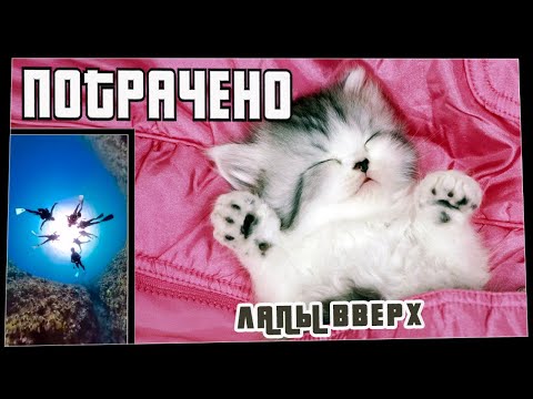 Потрачено. Лапы Вверх. Лучшие приколы, смешные видео и фейлы