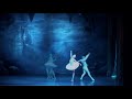 O LAGO DOS CISNES - Moscow State Ballet &amp; Estrelas do Teatro Bolshoi