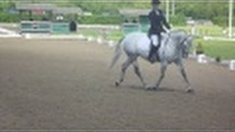 A-Level Physical Education Horse Riding AQA A2