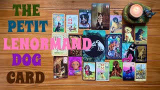 Everything you need to know about the Petit Lenormand DOG card!