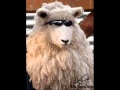 العبوا يا ولاد