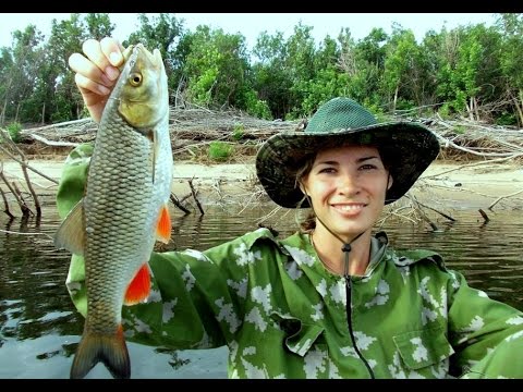 ловля крупного голавля на спиннинг