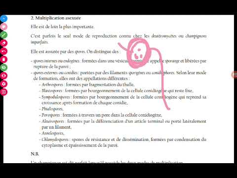 Vidéo: Qu'est-ce que le test d'anticorps coccidioides ?