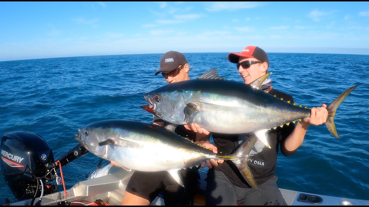 INSANE BLUEFIN TUNA ACTION TASMANIA - Light tackle spinning out of the Stabicraft 1450
