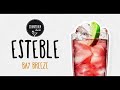 Esteble  schirmchendrink mix  bay breeze