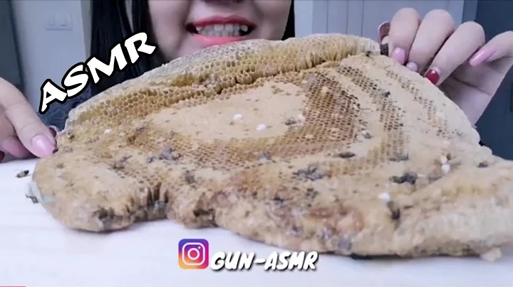 ASMR Raw Honey Comb (EXTREME STICKY EATING SOUNDS) Part 3 *No - talking | GUN-ASMR