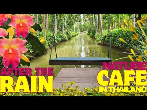THAILAND NATURE CAFE A PERFECT PLACE TO RELAX #cafe #travel #trending #rainintheforest #relaxing