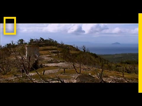 Mountain Chicken | National Geographic