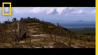 Mountain Chicken | National Geographic