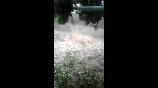 Punjab, Mein Zala Bari Aur. Tofani Barishfeeling Love