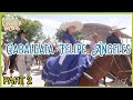 Cabalgata de la feria del charro en la Colonia Felipe Ángeles, Villanueva, Zacatecas (PARTE 2)