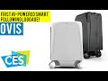 The First AI-Powered Following Robotic Suitcase! OVIS at CES 2020!