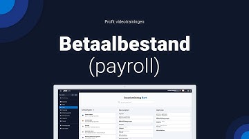 Betaalbestand (payroll)