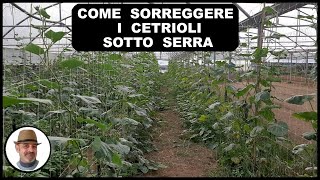 Struttura Per Sorreggere I Cetrioli Sotto La Serra
