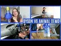 DYSON V6 ANIMAL VACUUM CLEANER DEMONSTRATION AND REVIEW | BEST VACUUM CLEANER FOR 2019
