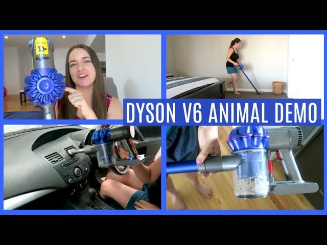 DYSON V6 ANIMAL VACUUM CLEANER DEMONSTRATION AND REVIEW | BEST VACUUM  CLEANER FOR 2019