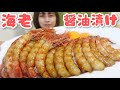 【大食い】［咀嚼音］海老の醤油漬け作って食べたら幸せすぎた