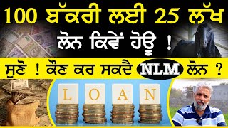 100 Bakri ਲਈ 25 lakh Loan ਕਿਵੇਂ ਹੋਊ ! | Goat Farm  Loan | NLM Loan | Sirlekh