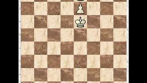 Chess - Chessvideos 2009 - Pawn Endgames Part 1