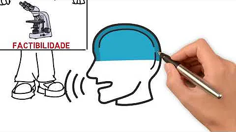 Quais os princípios da Pnaish?