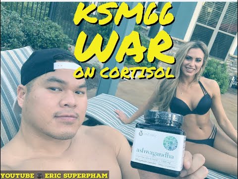 KSM66 Ashwagandha The War on Cortisol