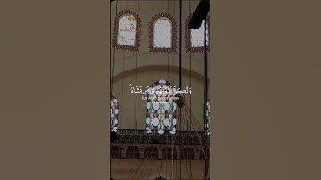 تلاوة خاشعة القارئ الشيخ ياسر الدوسري #قرآن #اكسبلور #ramadanlove #quranchapter #راحة_نفسية #explore