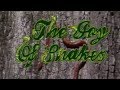 Joy of Snakes | GPB Documentaries