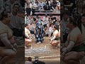 #大相撲 #九州場所 #パラダイス山元 #相撲ファン #Sumo #Shorts #Japan