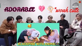 BTS reaction to BLACKPINK CUTE MOMENTS WITH ANIMALS