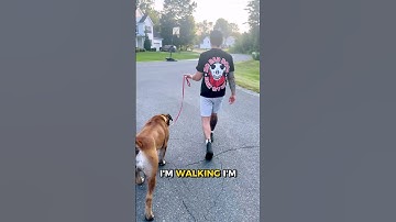 The SECRET to the heel command‼️#dogtraining #dogcoach #dogtrainer #shorts