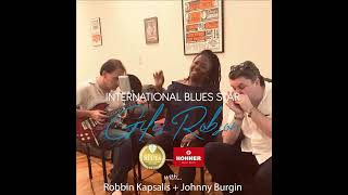 Sitting on Top Of The World - Taj Mahal (Cover by Robbin Kapsalis)