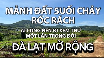 Mảnh đất ven Đà Lạt suối chảy róc rách, ai cũng nên đi xem thử một lần trong đời!