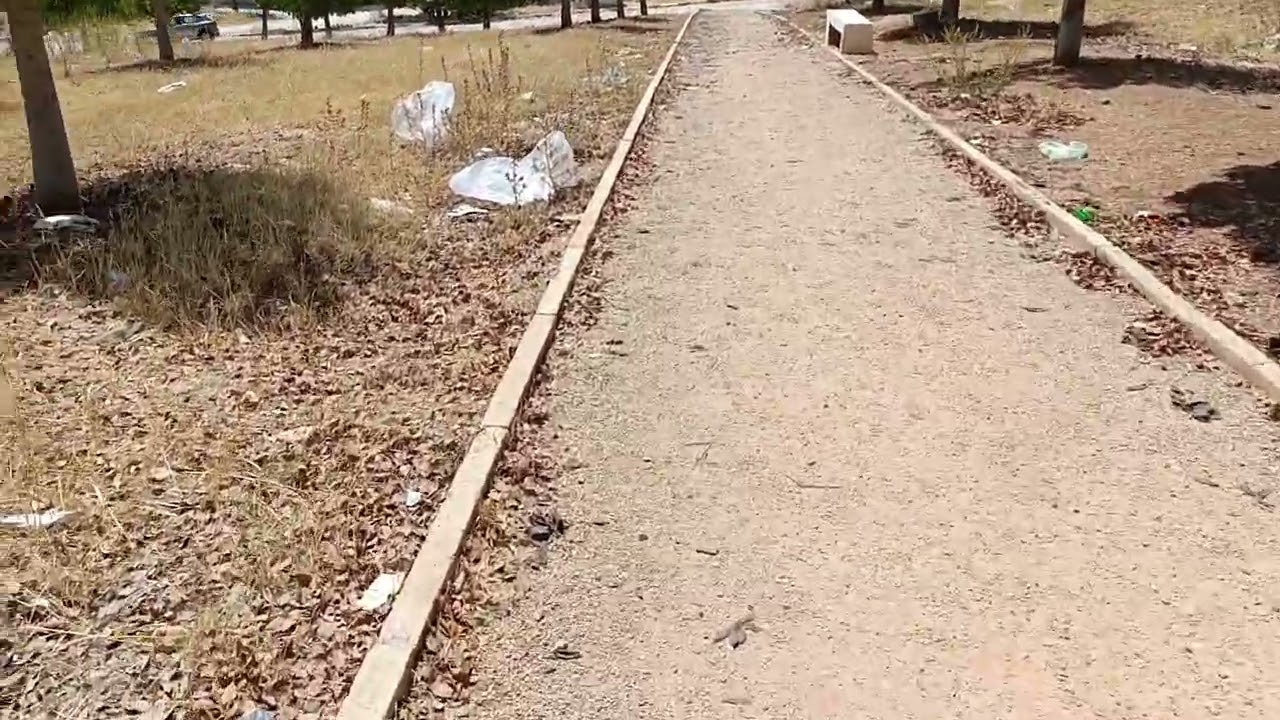 حديقة حي الشهدية تتحول إلى وكر للفساد | شاهد الوضع الكارثي نهاراً!