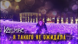Новогодний парк Галицкого | Что подарил Дед Мороз | Приключения на ровном месте
