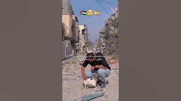 سورة إبراهيم📖 القارئ طارق محمد🎙️🤍
