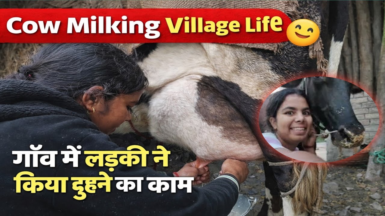 Cow milking 🥰 Village Life 🙂 ( 7/30 )