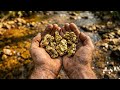 This Is How Gold Ends Up Where Nobody Expects It