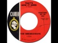 THE BREAKAWAYS - That&#39;s How It Goes [Cameo 323] 1964