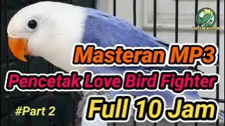 Masteran Love Bird Single Fighter Mental Pemenang Part 2